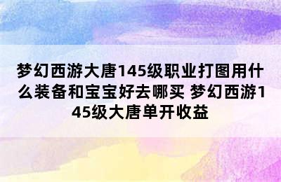 梦幻西游大唐145级职业打图用什么装备和宝宝好去哪买 梦幻西游145级大唐单开收益